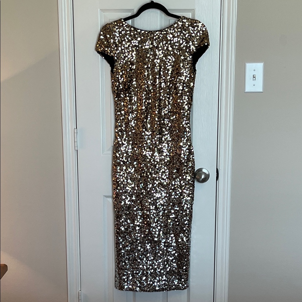 Dress the Population Sequin Dress